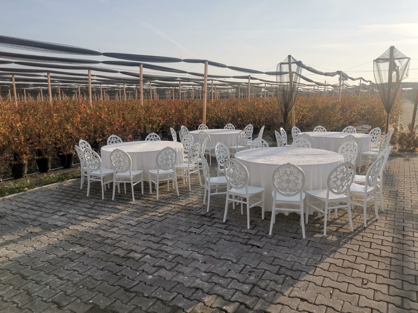 Orhangazi Sandalye Kiralama